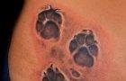Tetovaže šape i njihovo značenje Šta znači tetovaža vučje šape?