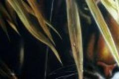 Drakens år: födelseår Hane - Elddrake